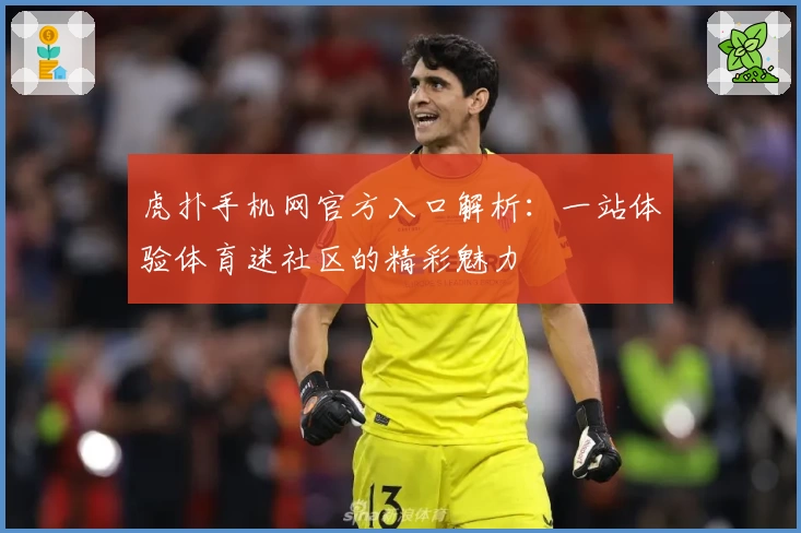 虎扑手机网官方入口解析：一站体验体育迷社区的精彩魅力