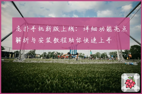 虎扑手机新版上线：详细功能亮点解析与安装教程助你快速上手