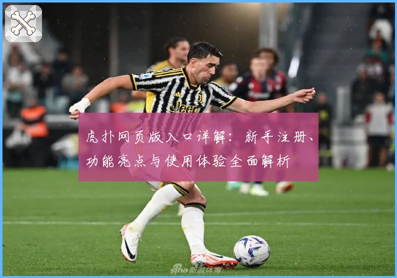 虎扑网页版入口详解：新手注册、功能亮点与使用体验全面解析