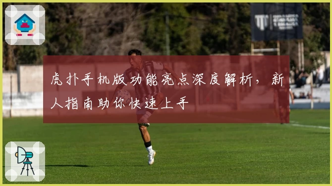 虎扑手机版功能亮点深度解析，新人指南助你快速上手