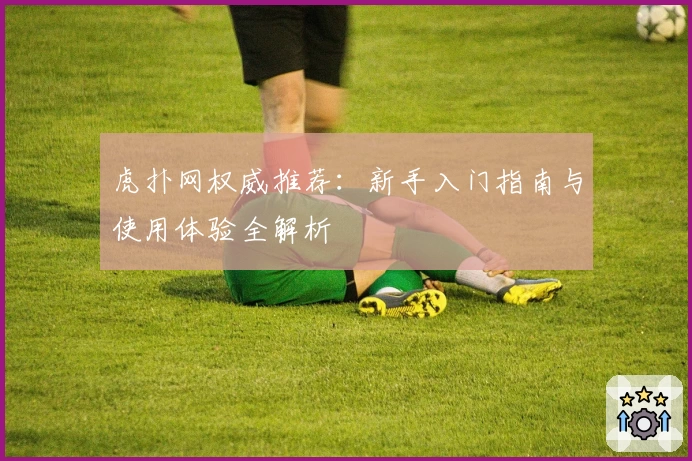 虎扑网权威推荐：新手入门指南与使用体验全解析